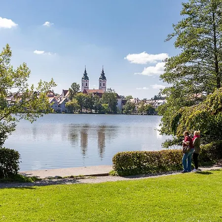 Restaurant Gruener Baum Und Altes Tor