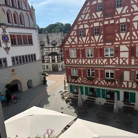Restaurant Gruner Baum Und Altes Tor Otel Bad Waldsee