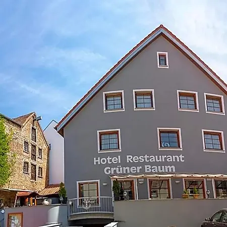 Restaurant Gruener Baum Und Altes Tor